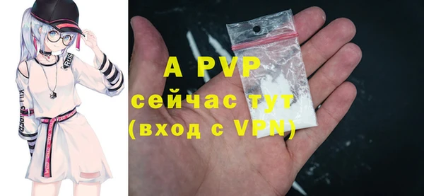 прущие крисы Осташков
