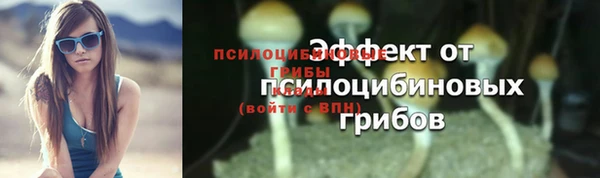 альфа пвп Осинники