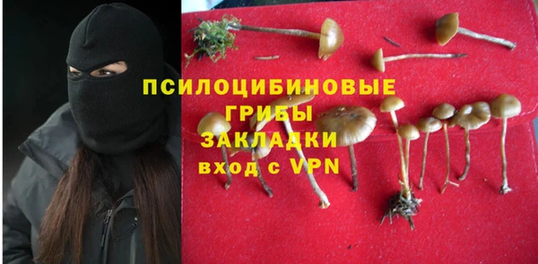 прущие крисы Осташков