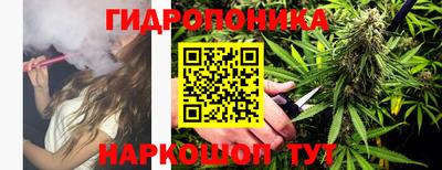 альфа пвп Бийск