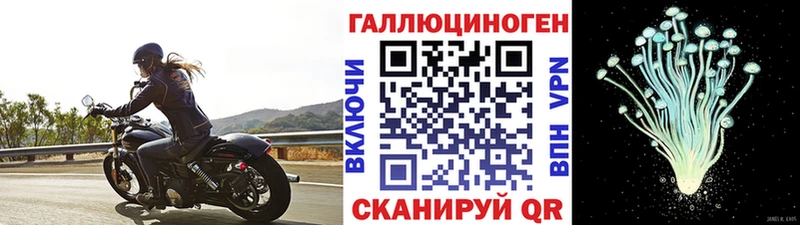 Псилоцибиновые грибы мухоморы как найти наркотики Соликамск