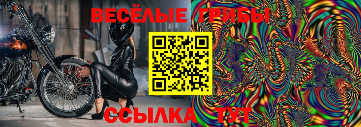Соликамск  Псилоцибиновые грибы Psilocybine cubensis  Вход с VPN 