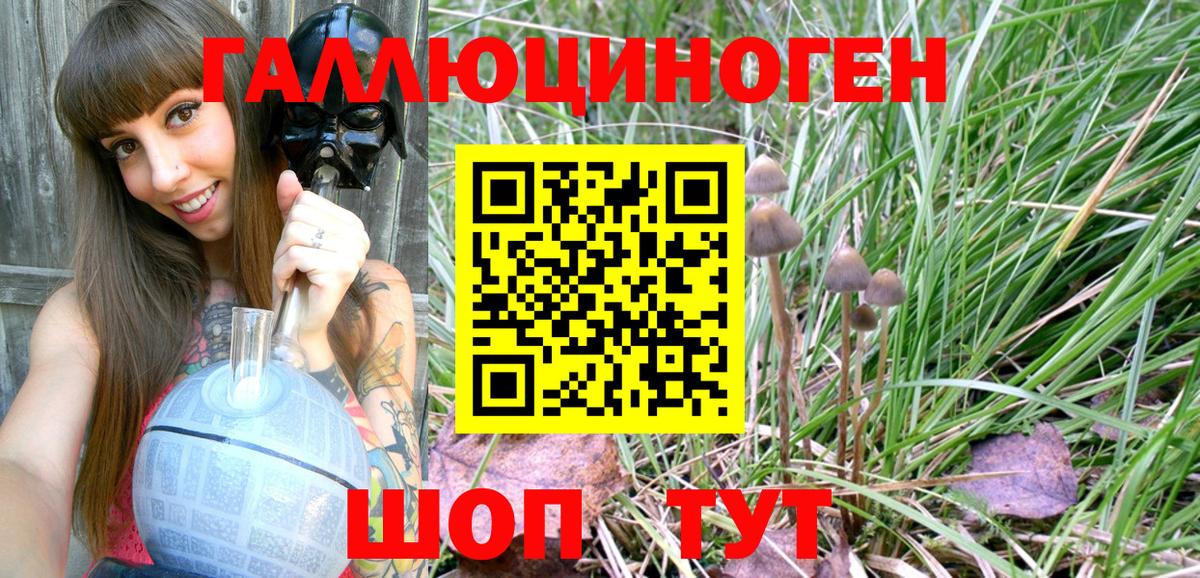 Псилоцибиновые грибы Magic Shrooms  Псилоцибиновые грибы GOLDEN TEACHER  Соликамск 