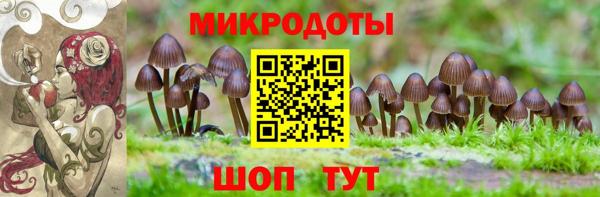 Галлюциногенные грибы Psilocybine cubensis Соликамск
