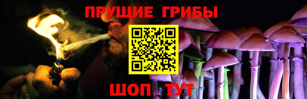 Псилоцибиновые грибы Magic Shrooms Соликамск